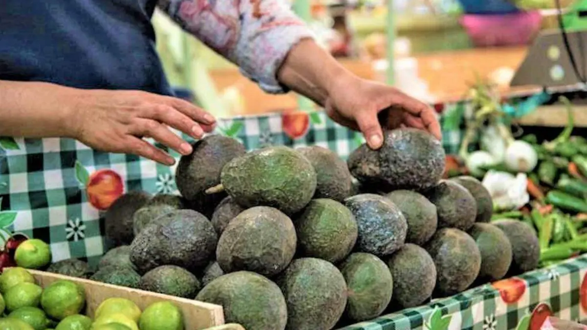 aguacate en mercado