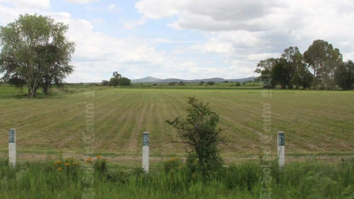Marca de Agua Fotos-Recuperado 1