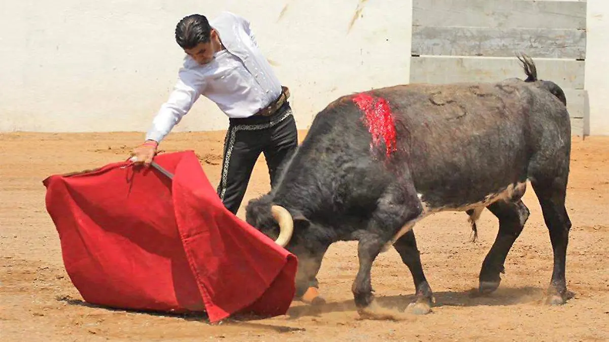 torero