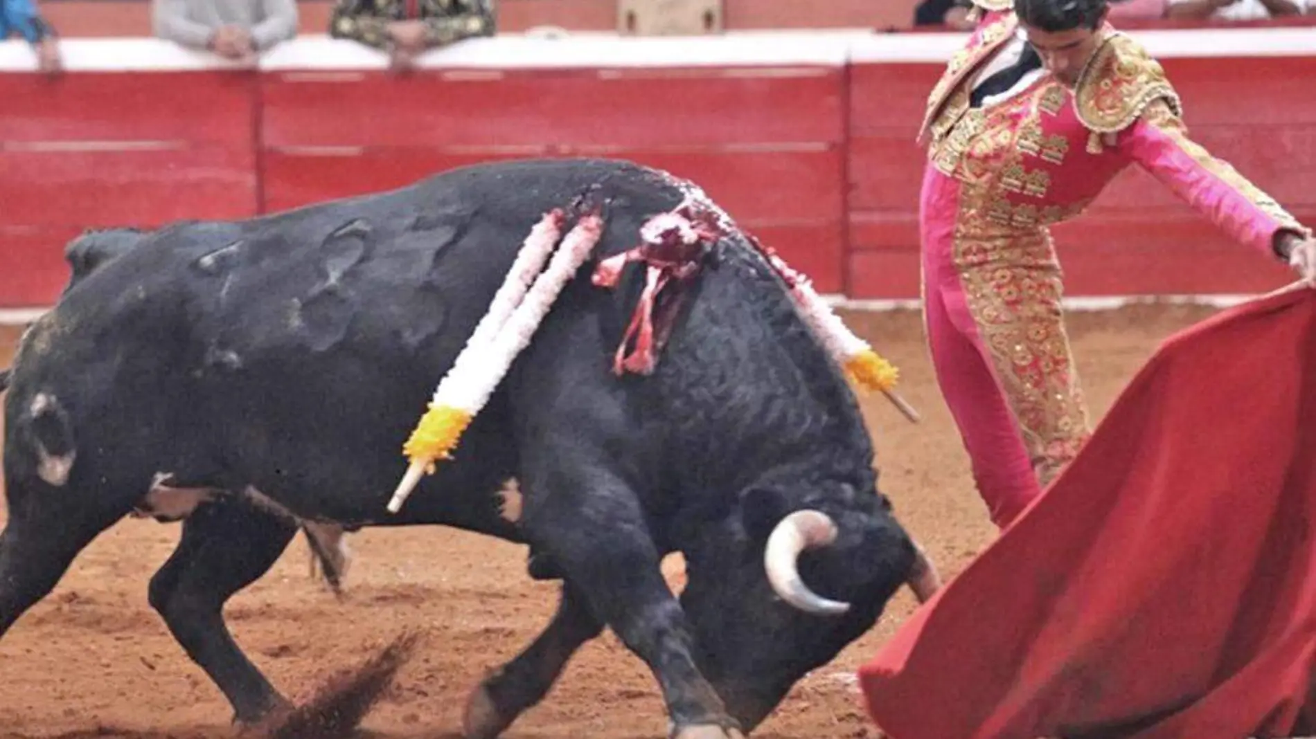 torero