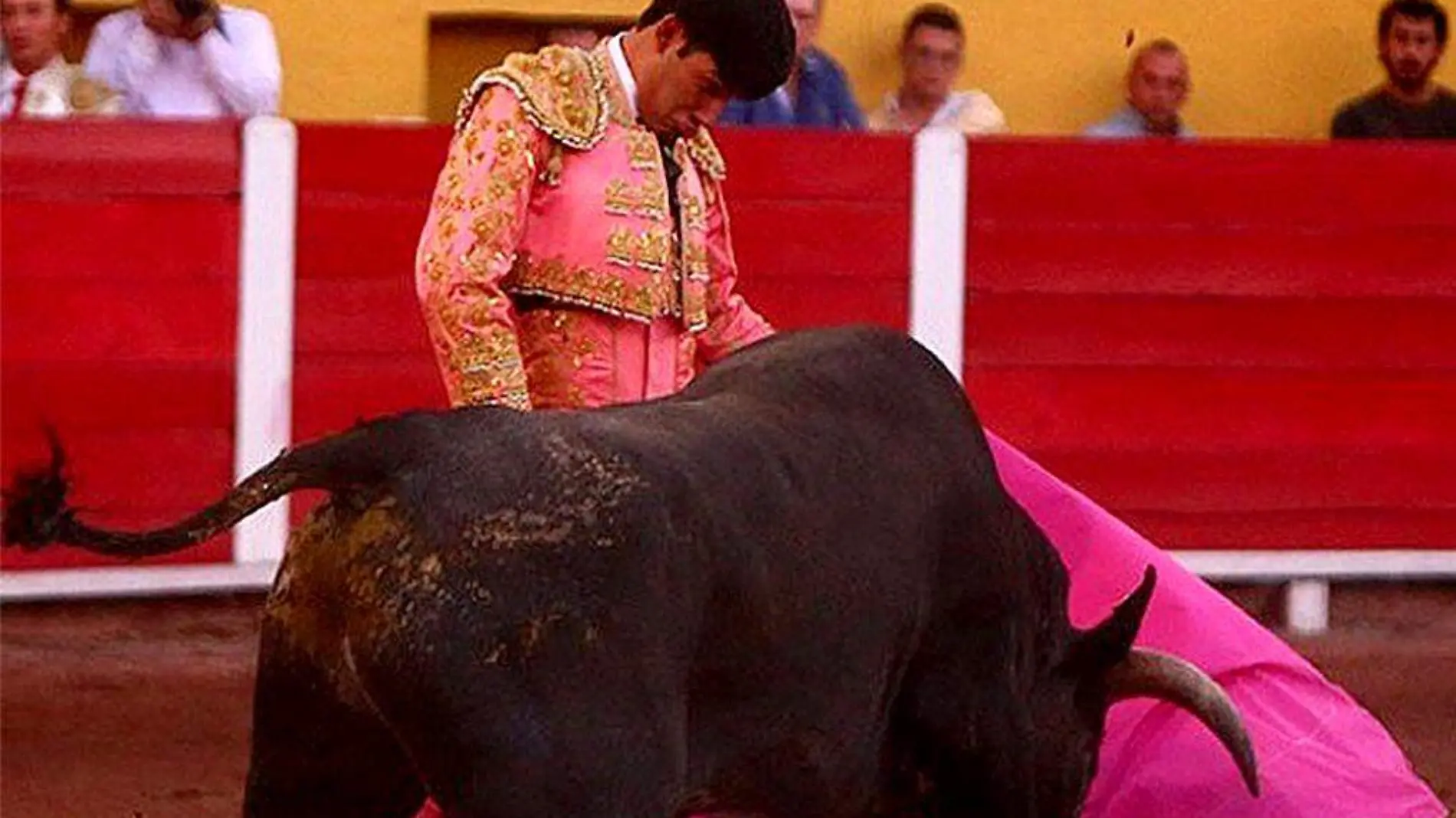 Toro-Torero