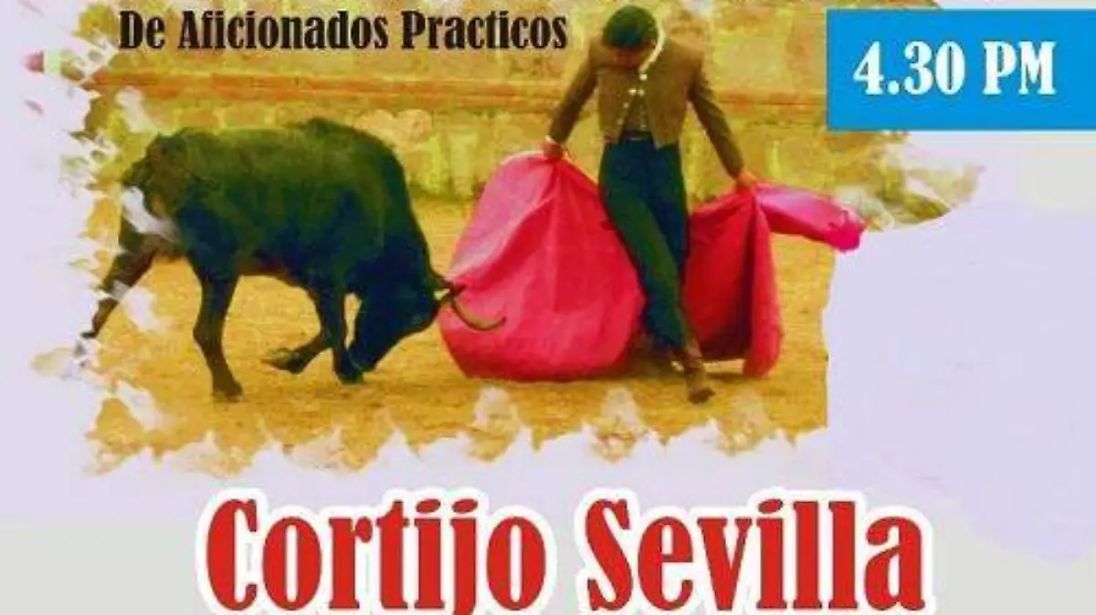 Supuesto cartel taurino