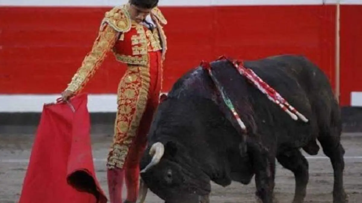 WhatsApp Image 2020-01-28 at 15.16.03