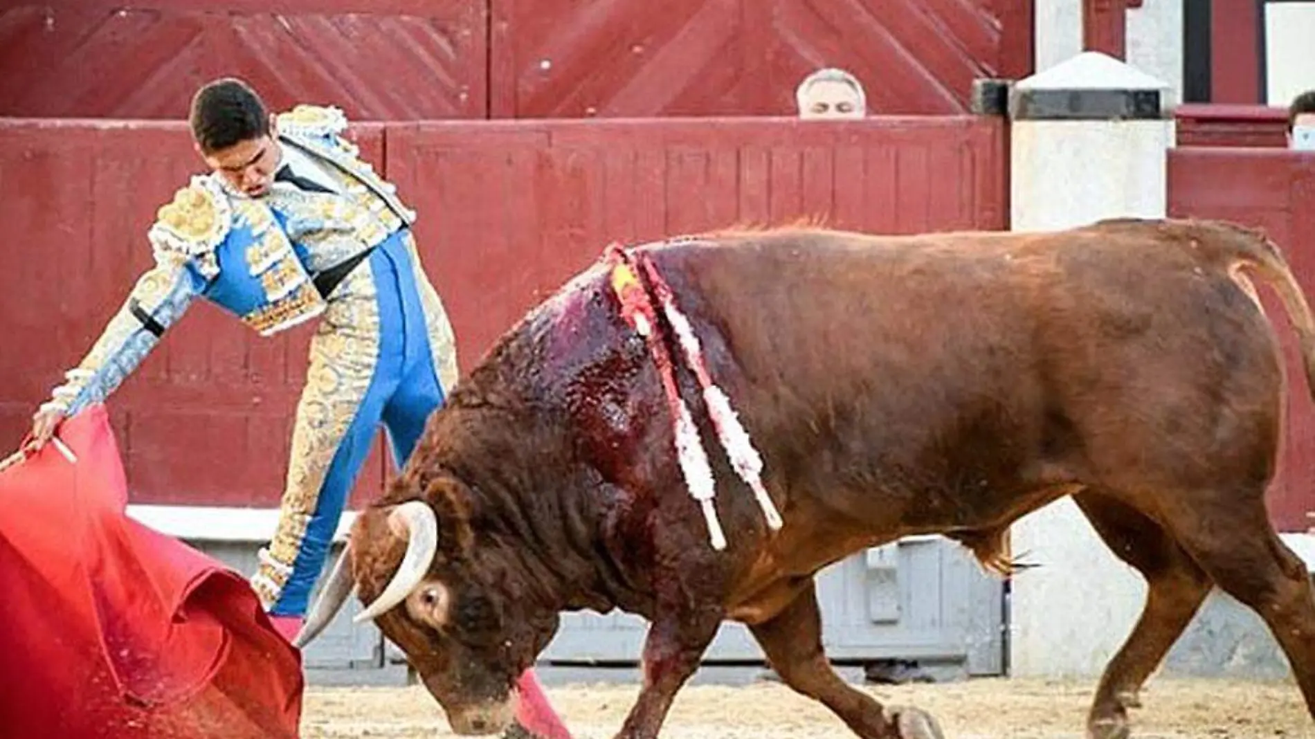 Torero-HéctorGutiérrez-Toro-FiestaBrava