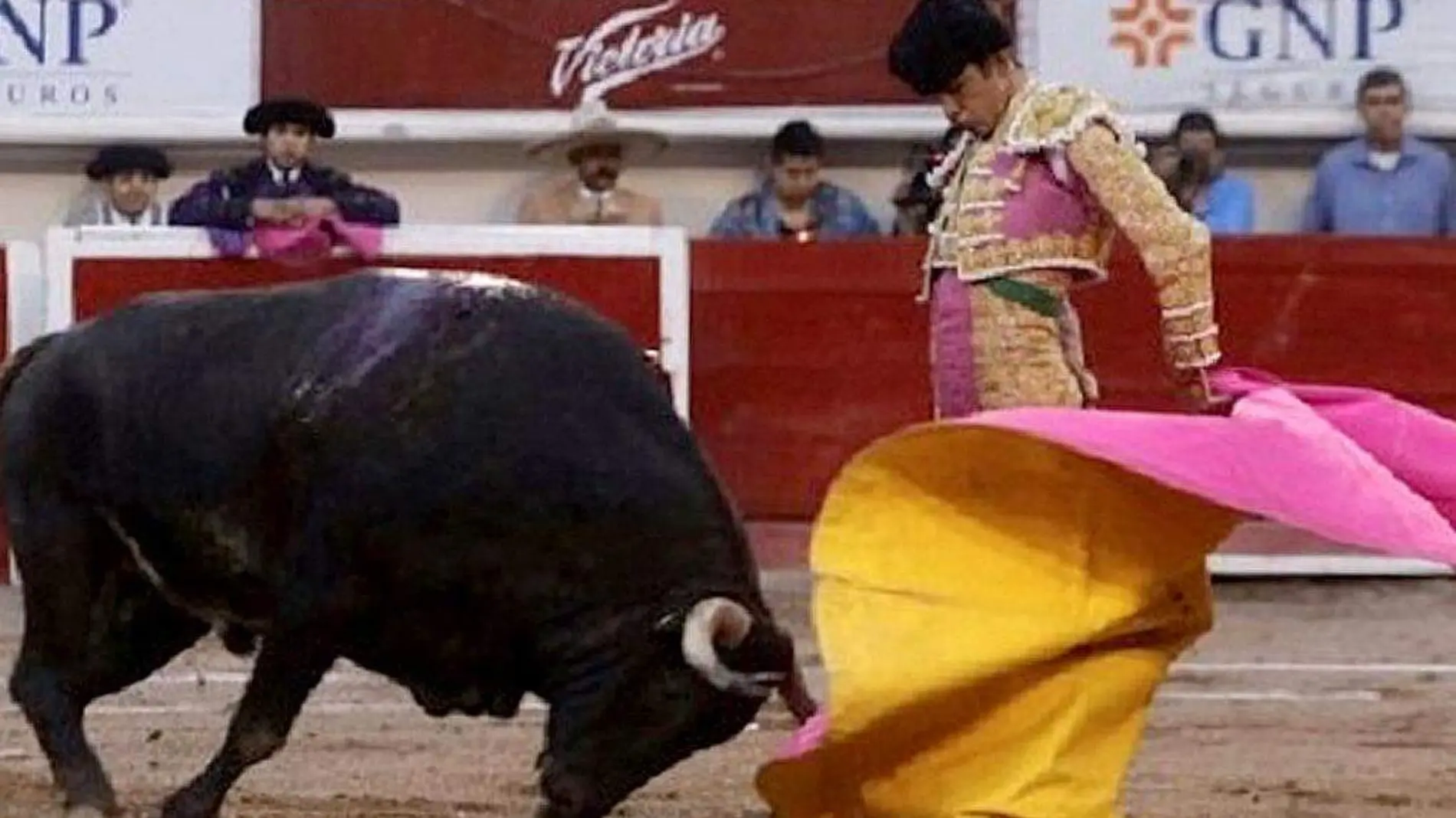 Toro-Torero-FiestaBrava-CorridaDeToros