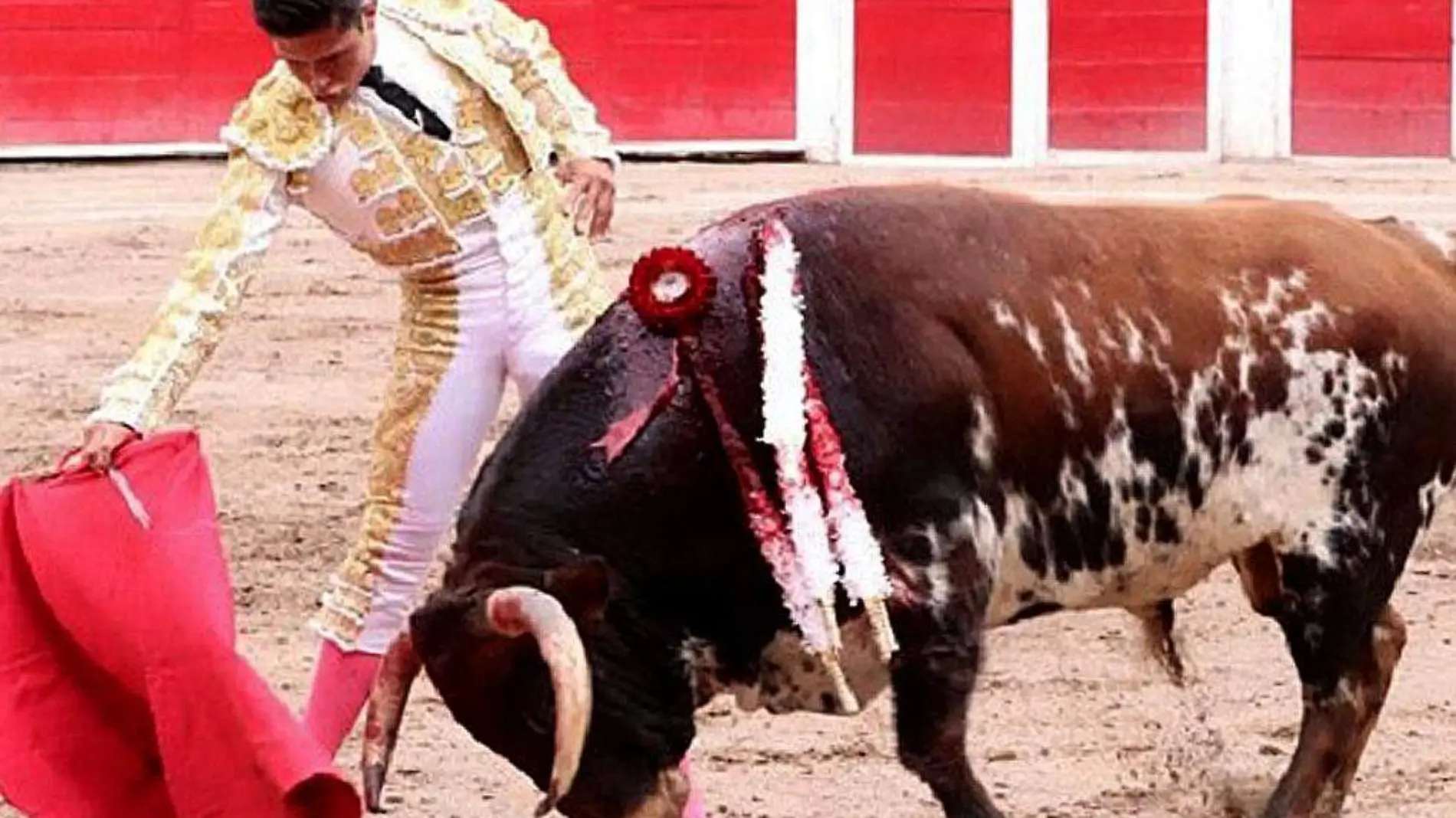 Torero-Toro-JoséMaríaPastor