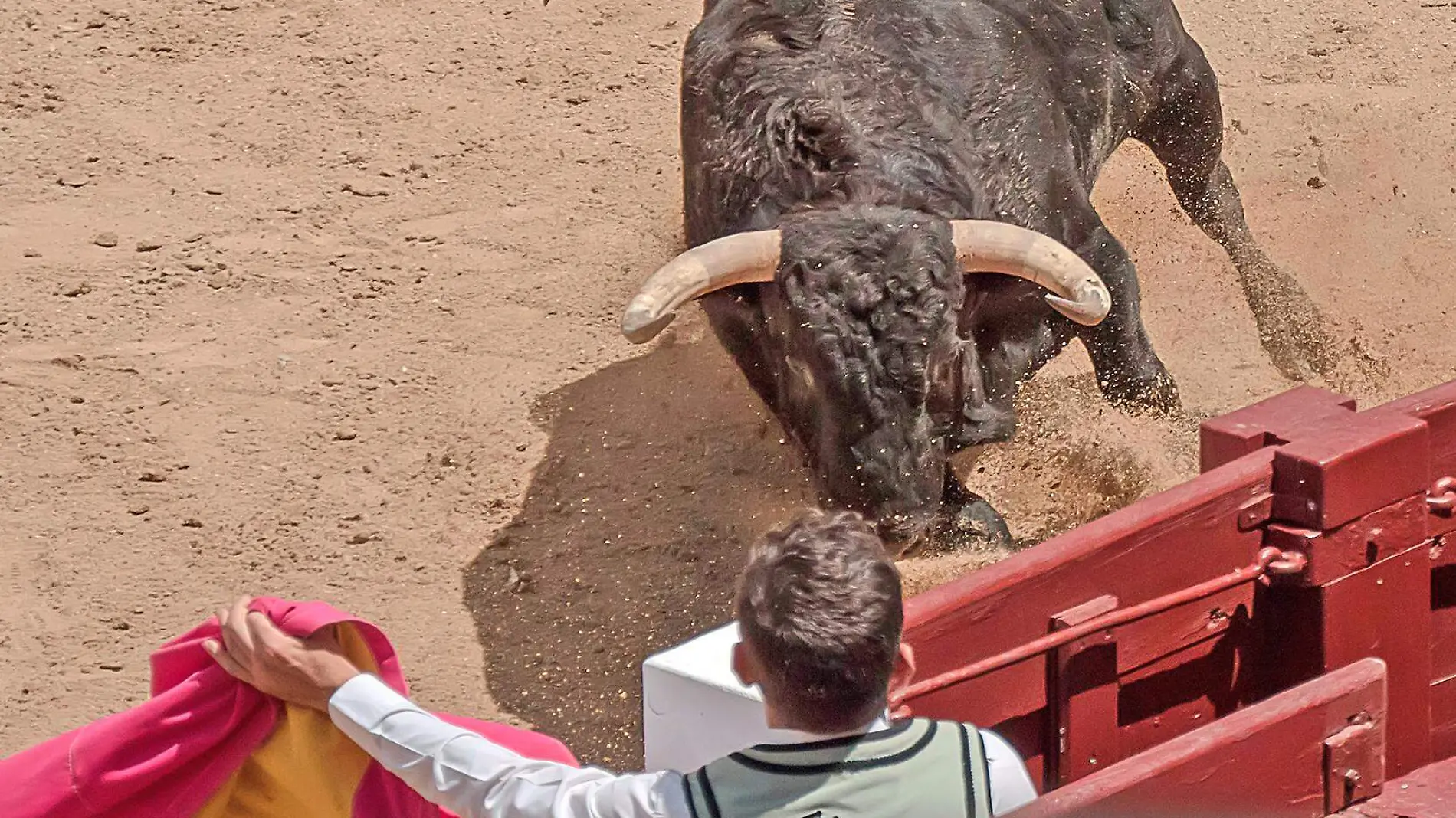 tauromaquia