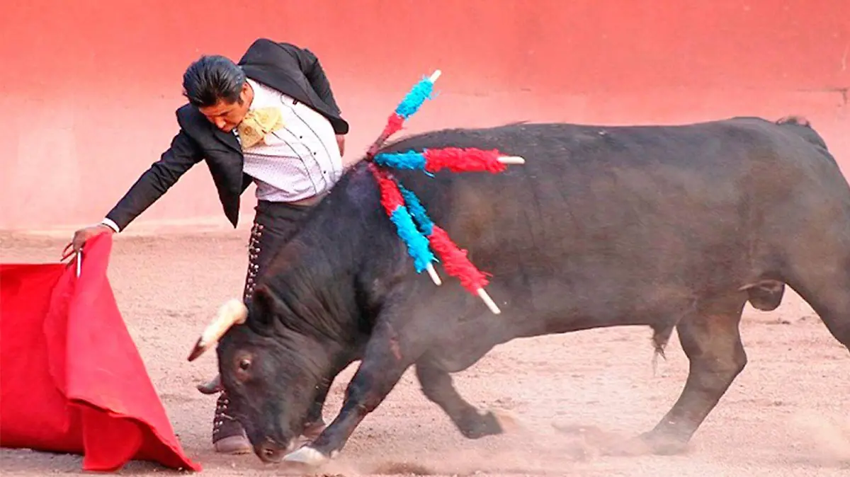 torero