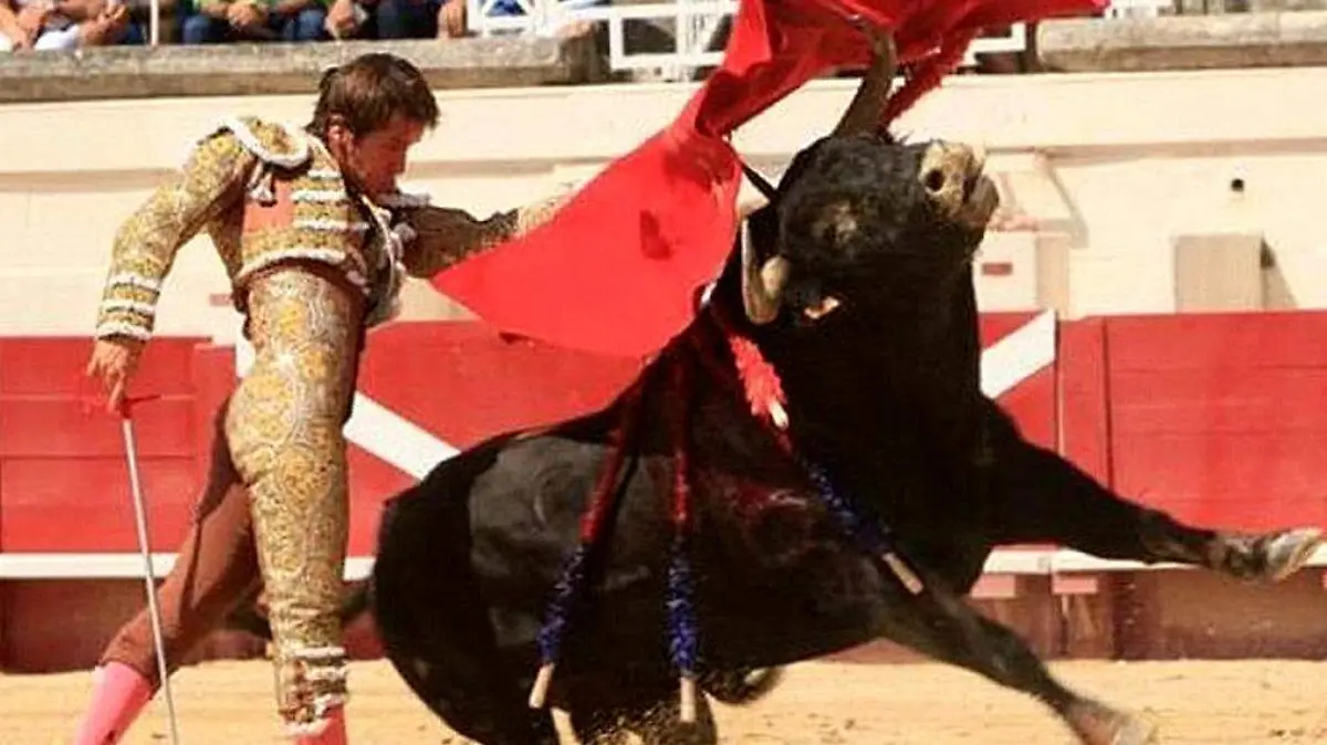 Toro-FiestaBrava-Torero