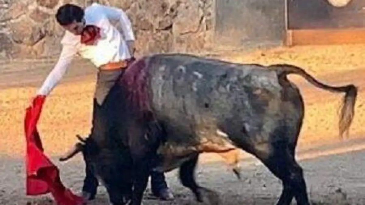 WhatsApp Image 2020-11-02 at 14.27.03