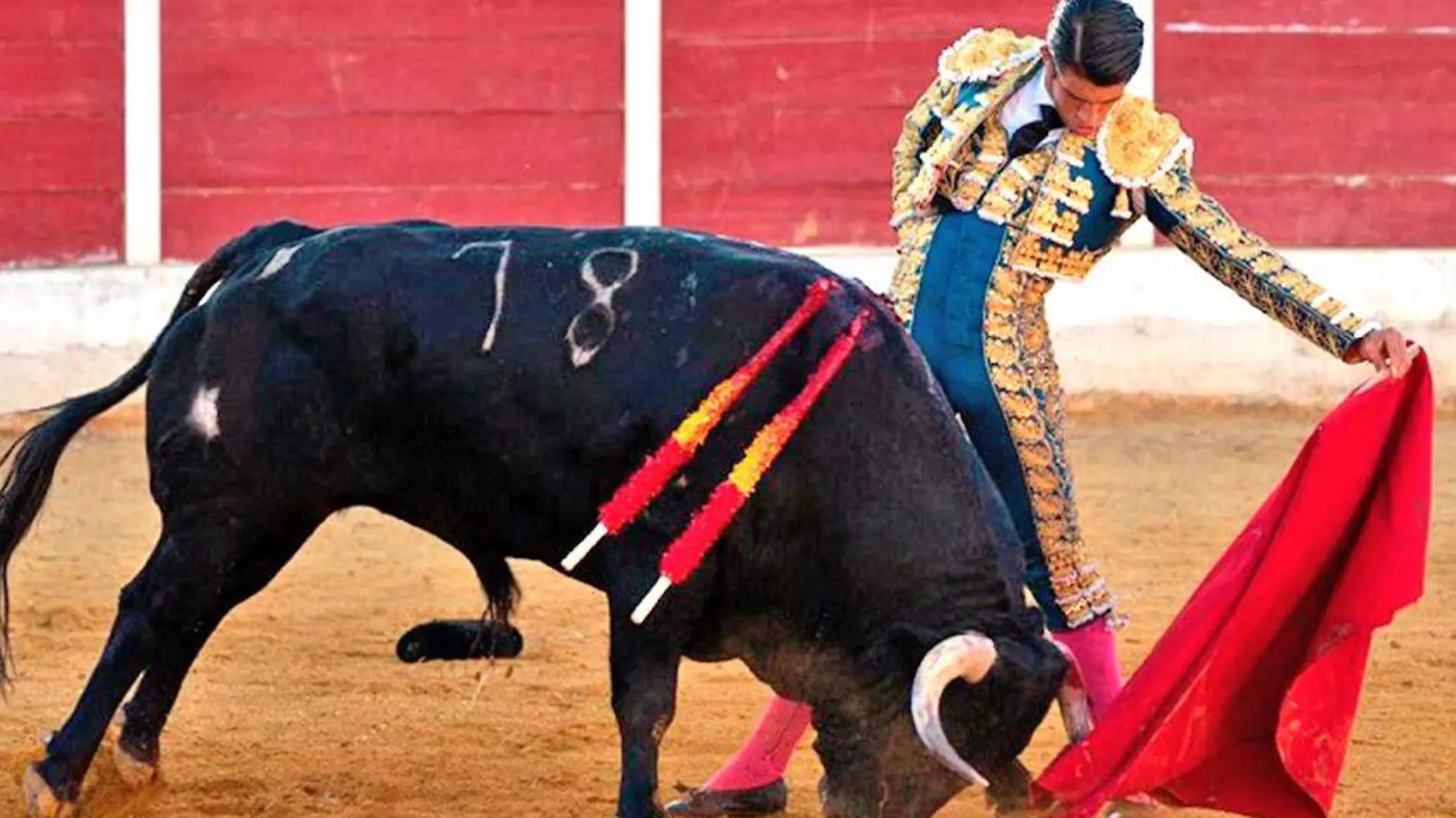 torero_1