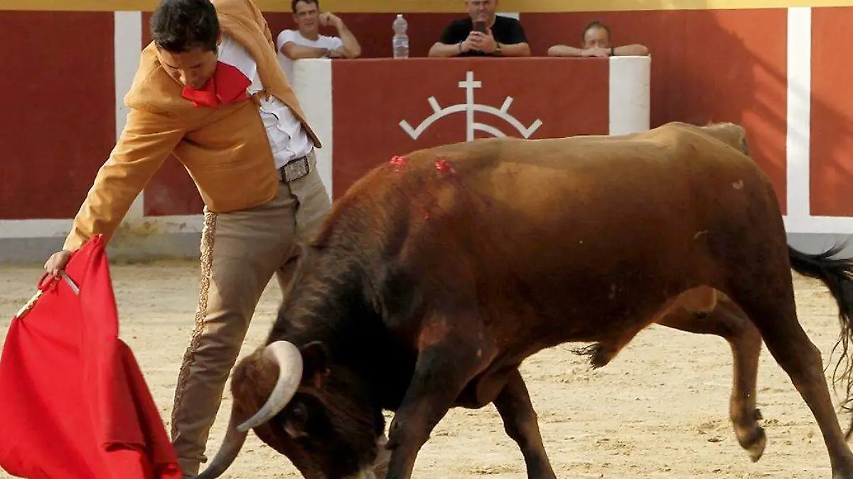 Toro-Torero-