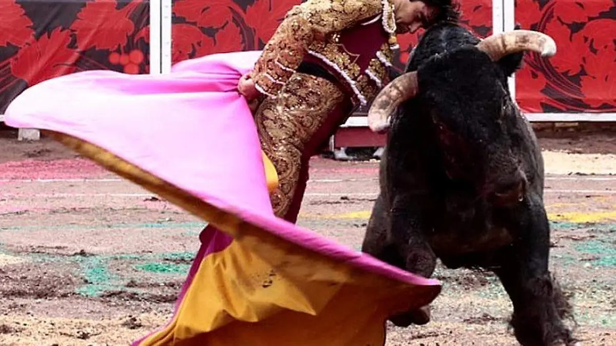 GerardoAdame-Toro-Torero-CorridaDeToros