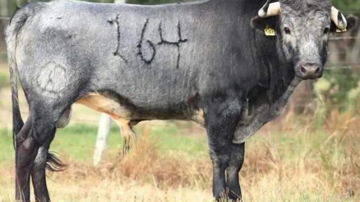 WhatsApp Image 2020-11-06 at 14.32.37