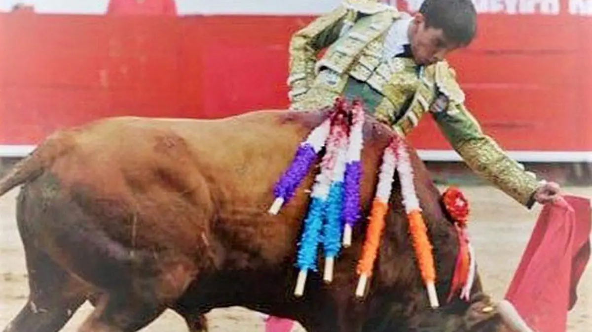 Toro-Torero-JoséAlbertoOrtega