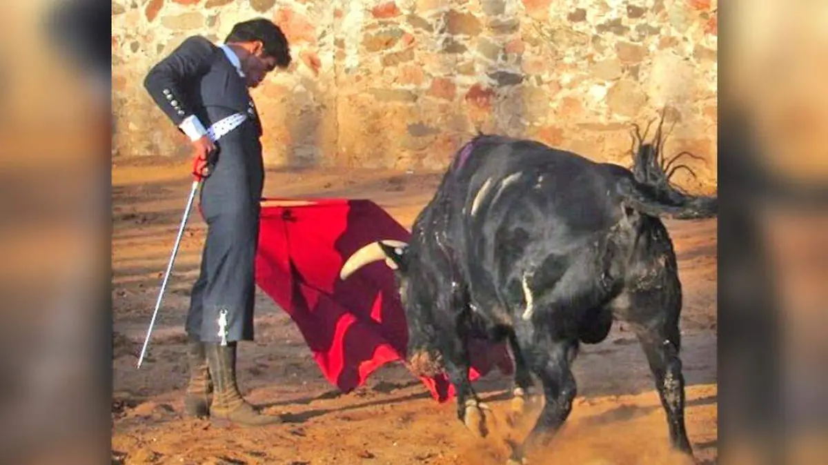 Francisco Martínez torero