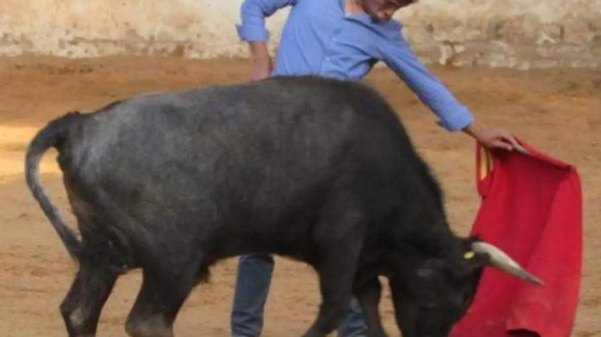 Francisco Martínez torero 2