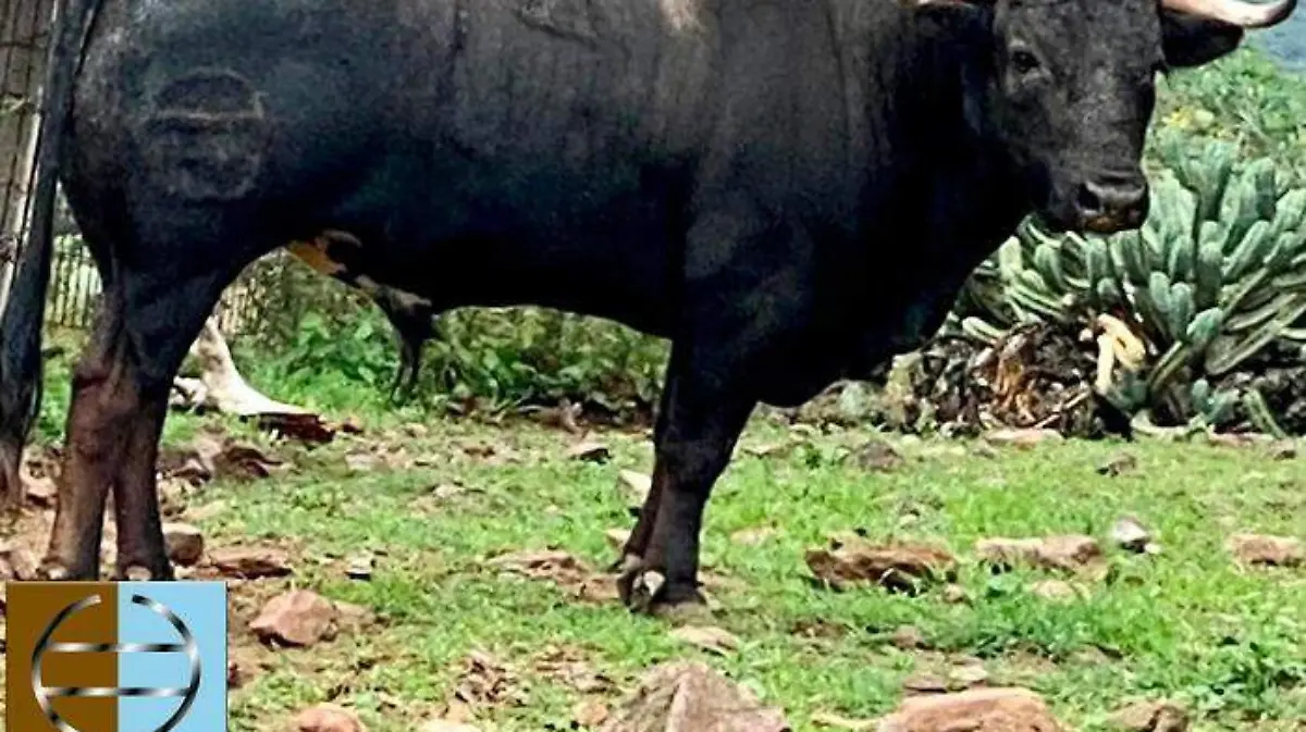 WhatsApp Image 2020-11-11 at 14.03.42