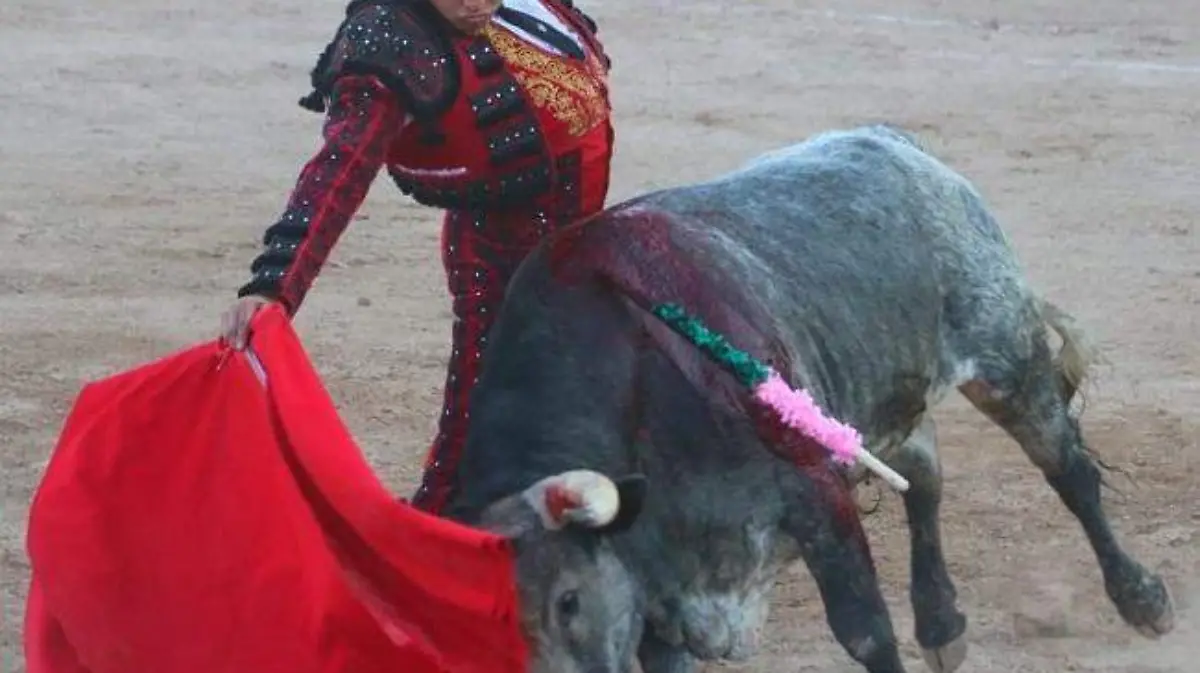 Eduardo Castro novillero