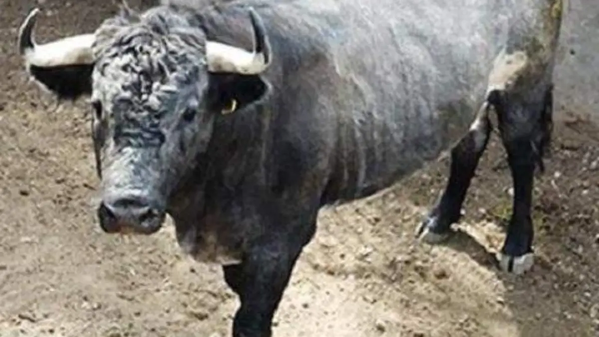 WhatsApp Image 2020-11-06 at 14.33.45