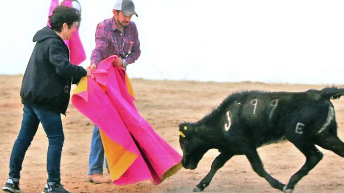 Aficionada al toreo
