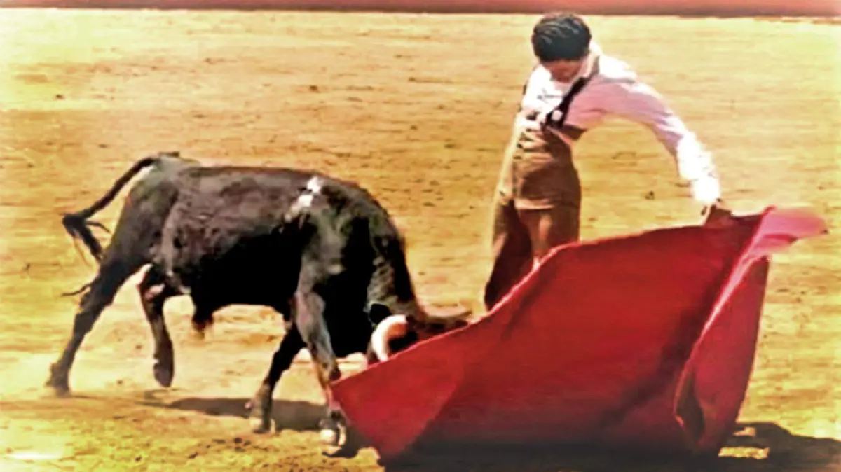 torero2