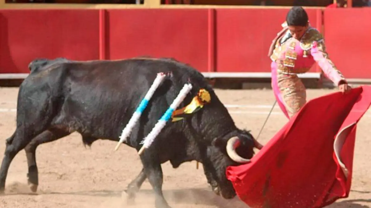 torero 2
