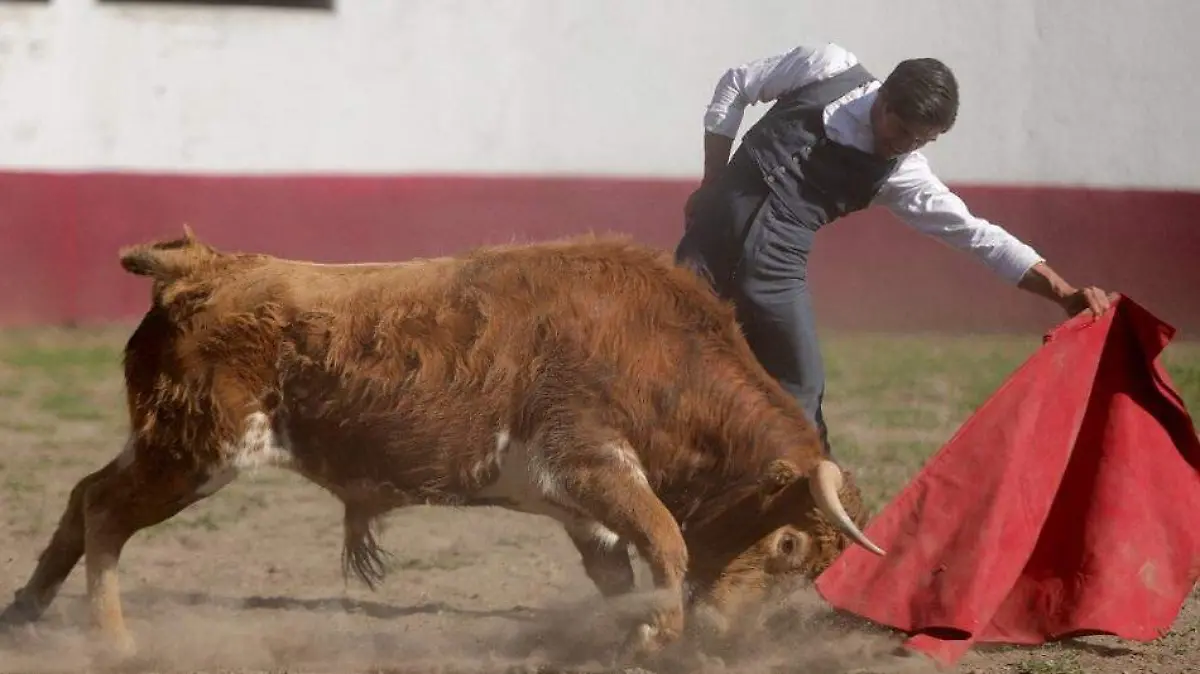 WhatsApp Image 2021-11-05 at 13.23.29