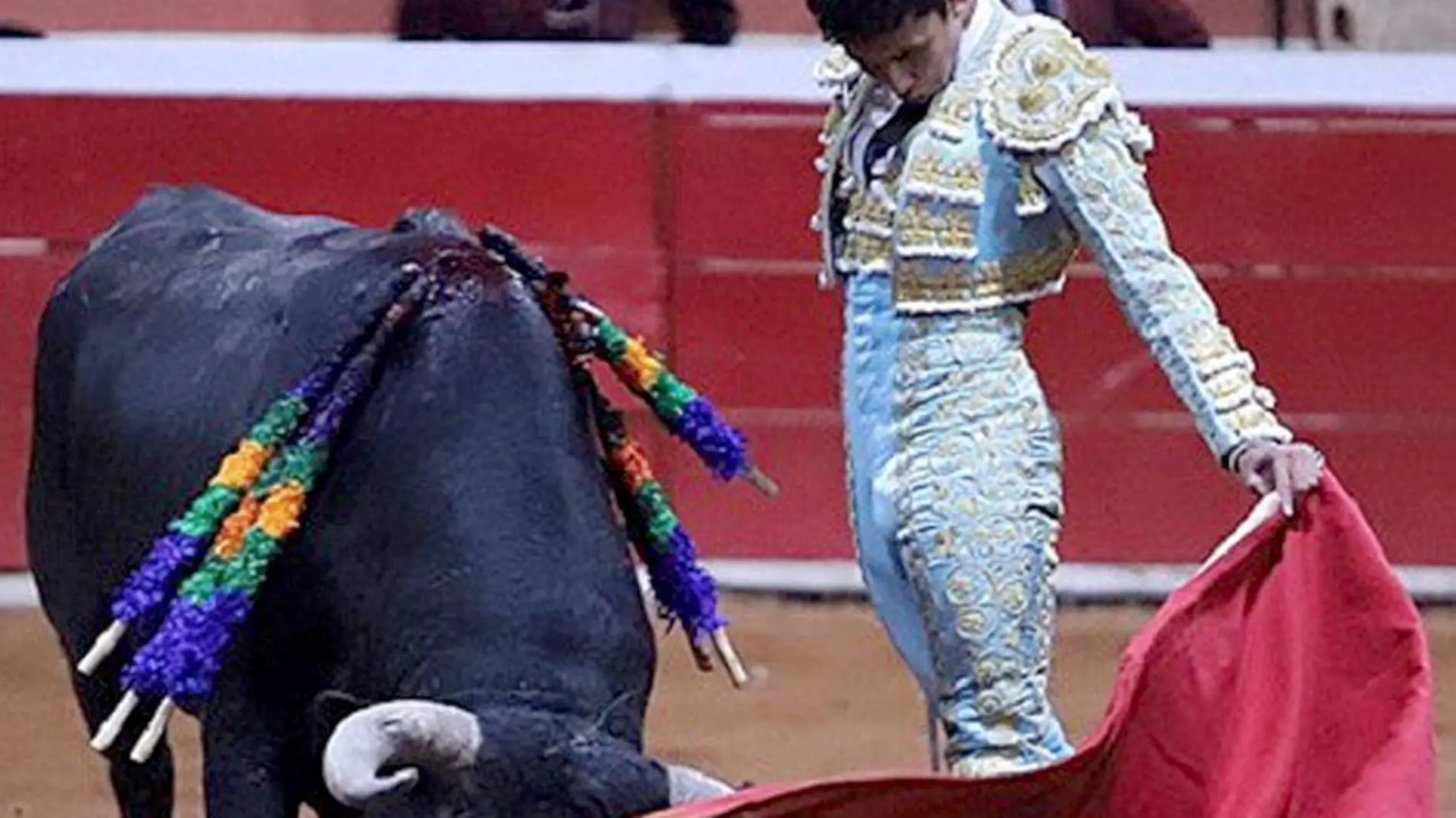 Toro-Torero-FiestaBrava-LeoValadez