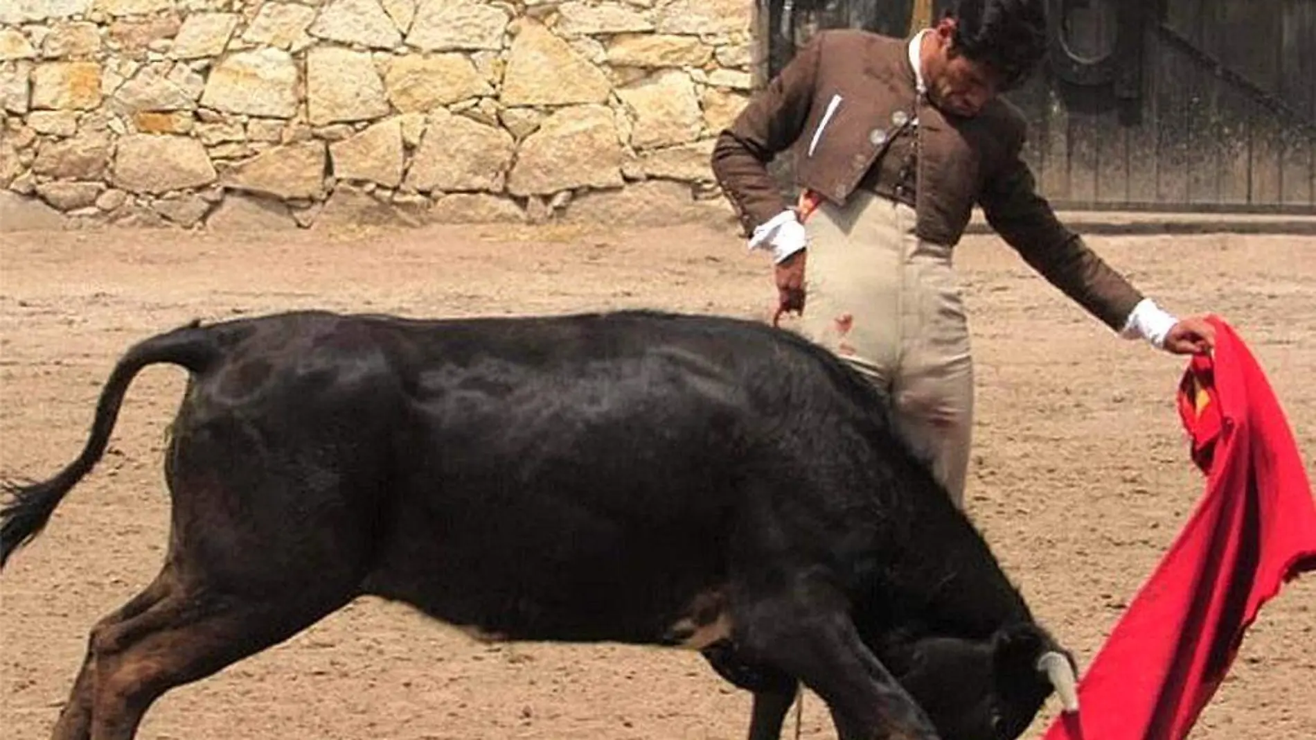 Torero