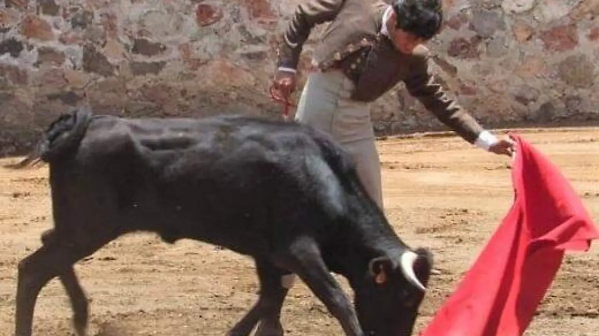 WhatsApp Image 2020-08-30 at 14.15.20