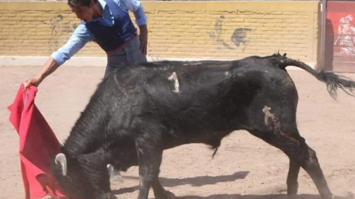 WhatsApp Image 2022-02-25 at 11.28.10 AM