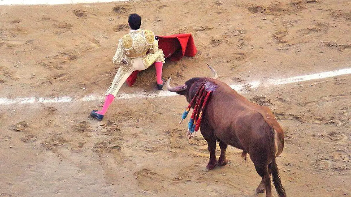 torero
