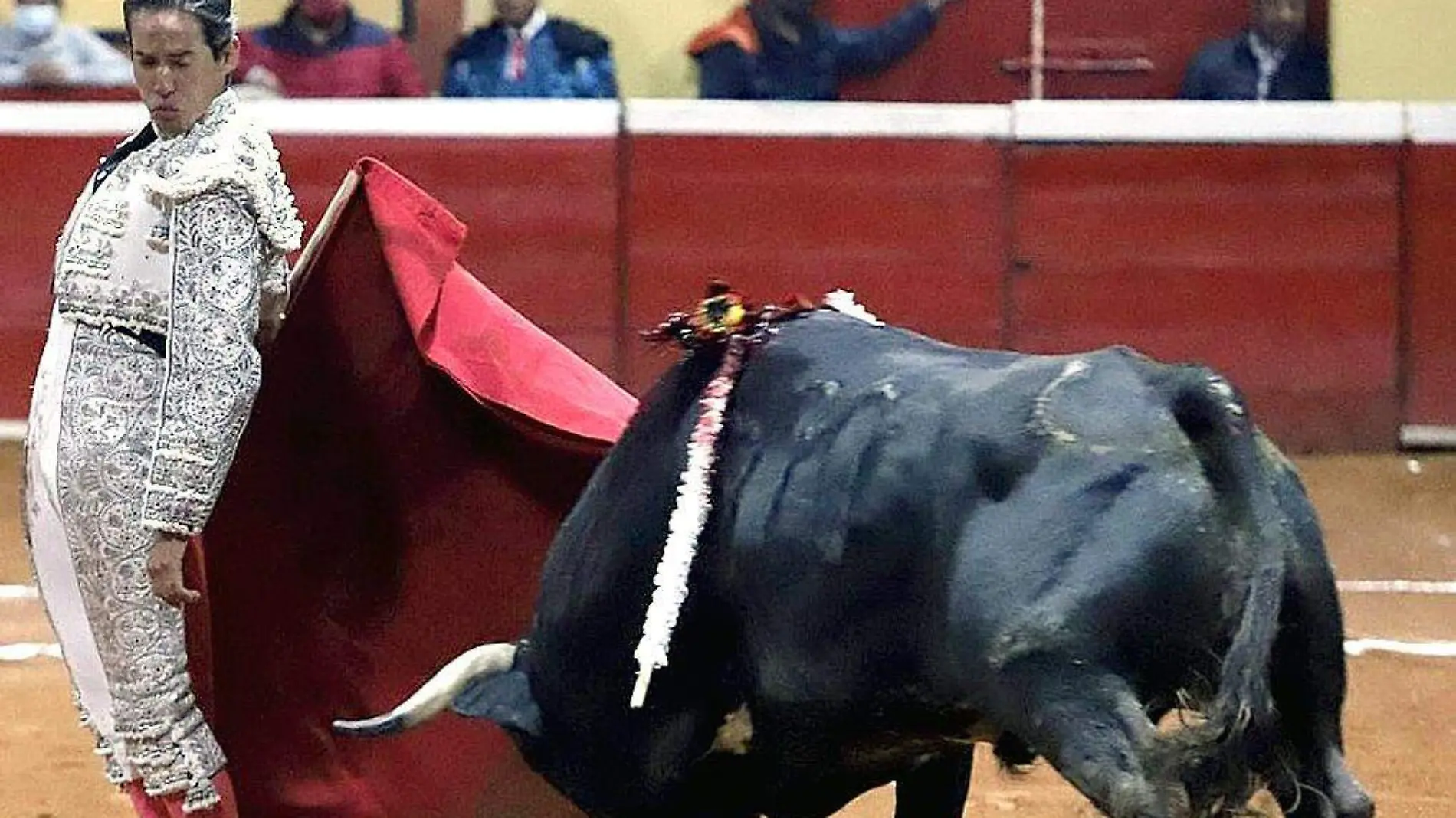 Torero-DiegoSilveti-Toro