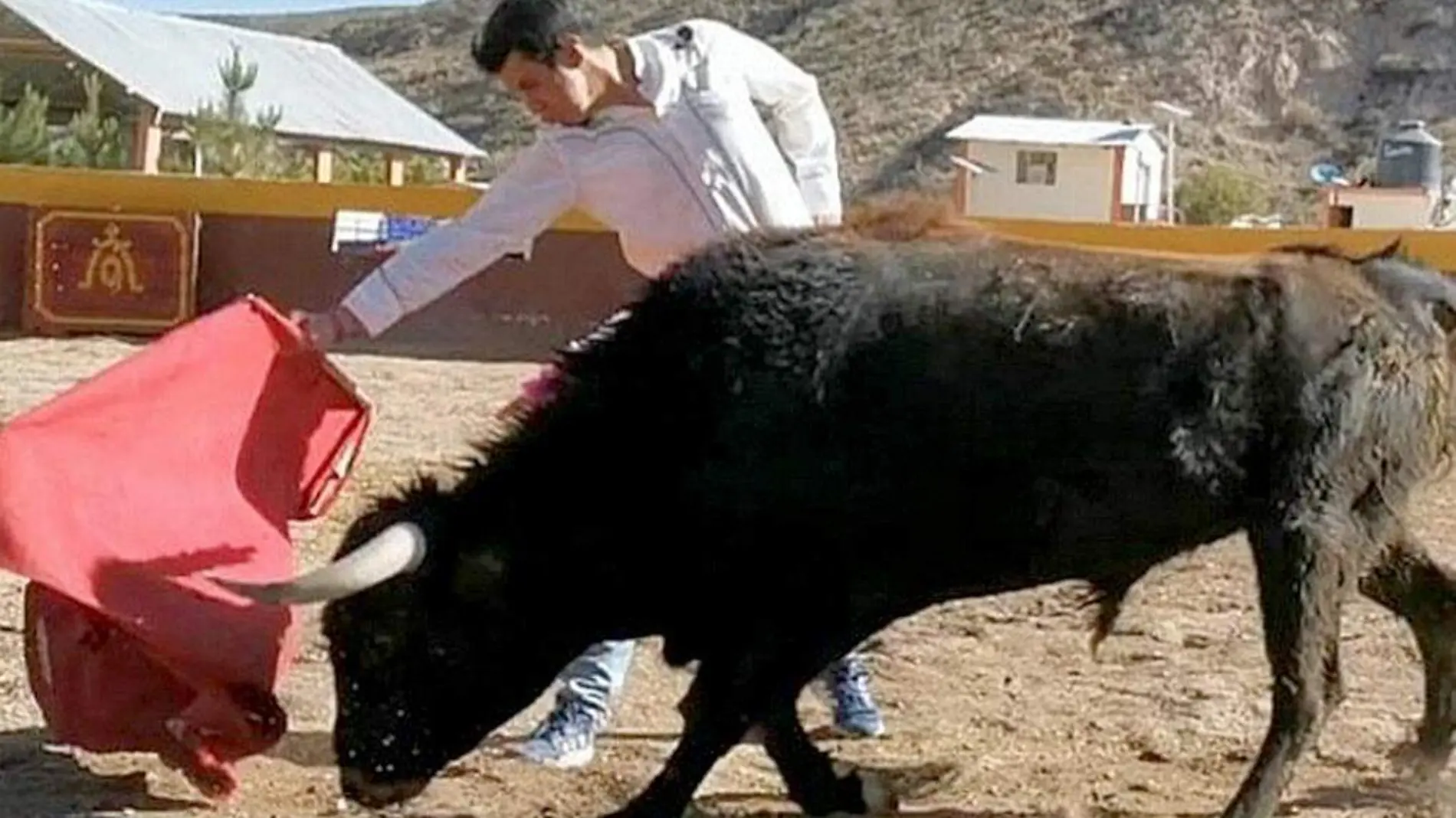 Toro-Torero-JuanLuisSifilis