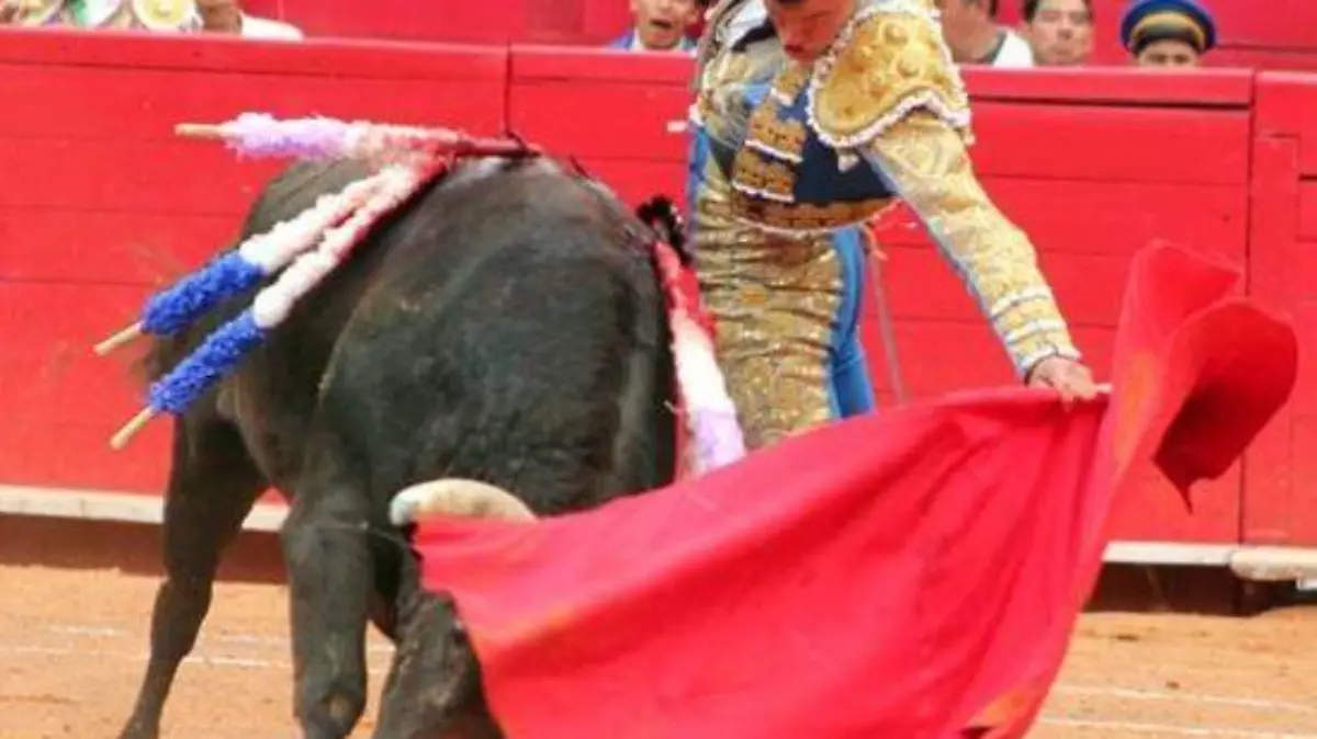 WhatsApp Image 2020-11-10 at 14.02.20