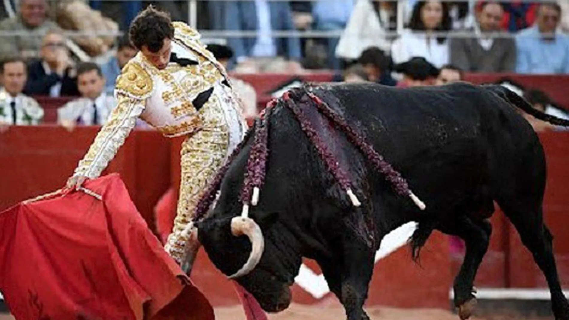 Toro-Torero-FiestaBrava