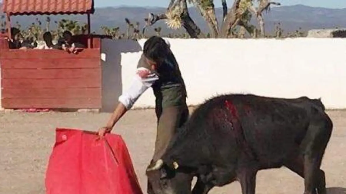 WhatsApp Image 2020-01-08 at 14.58.54