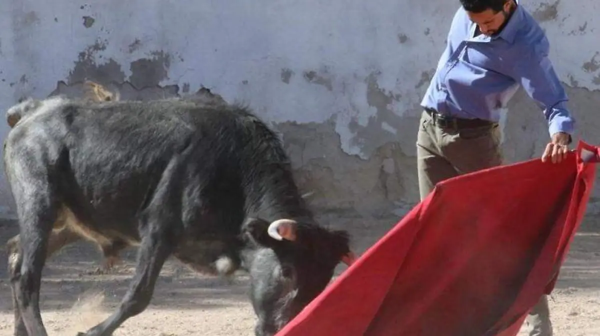 WhatsApp Image 2020-01-30 at 15.04.26