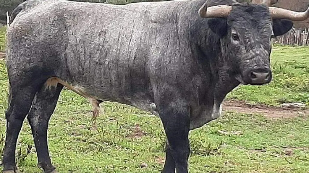 WhatsApp Image 2020-11-10 at 14.04.49