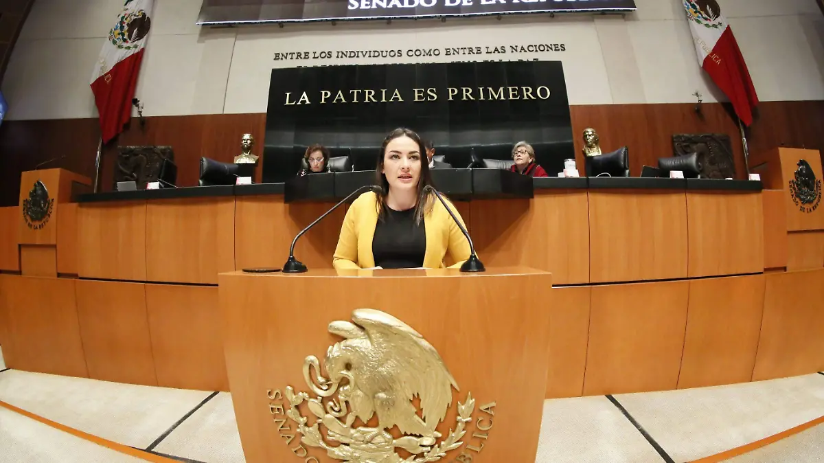 Martha Márquez Alvarado en el Senado 2