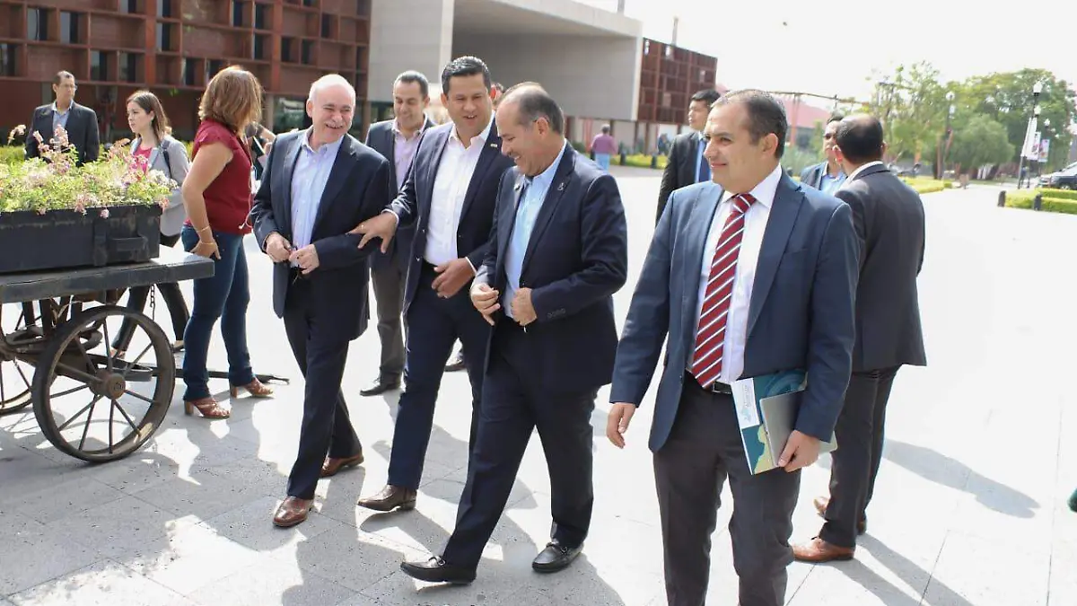 Proyectos gobernadores 3