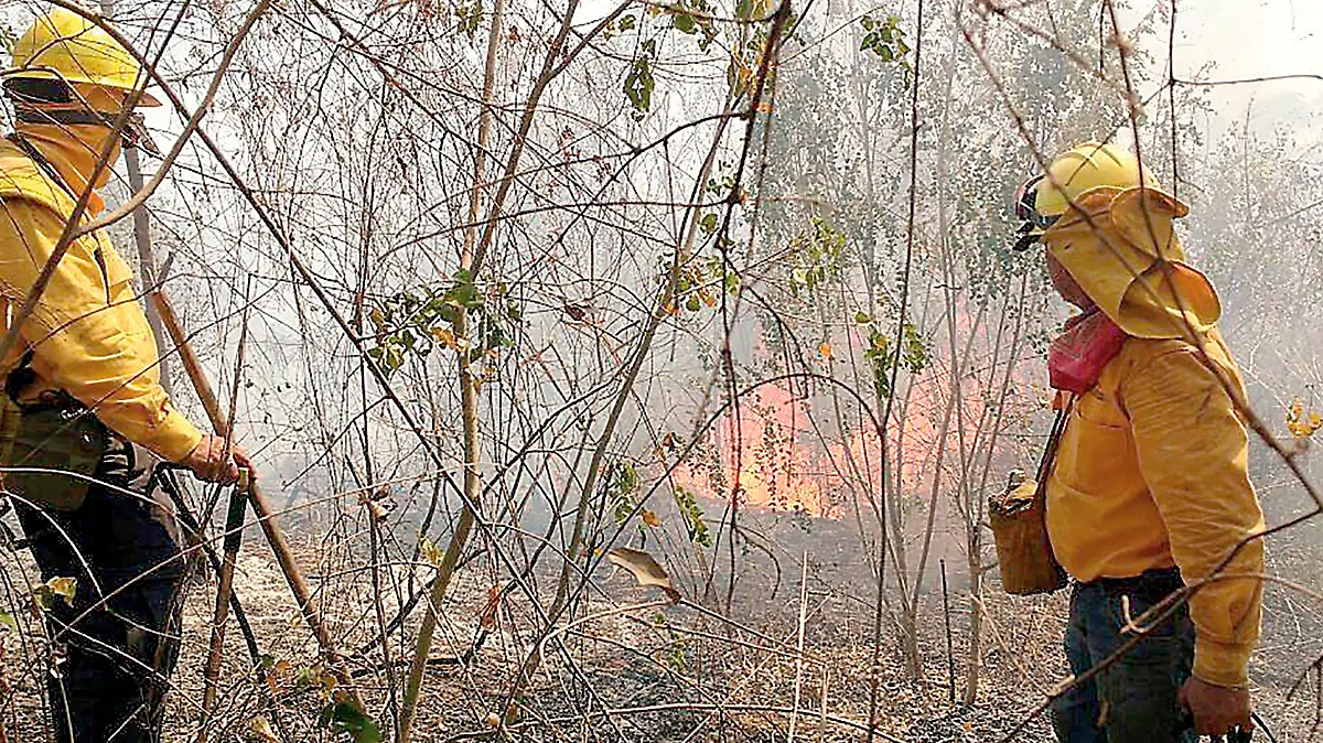 incendio en Villanueva