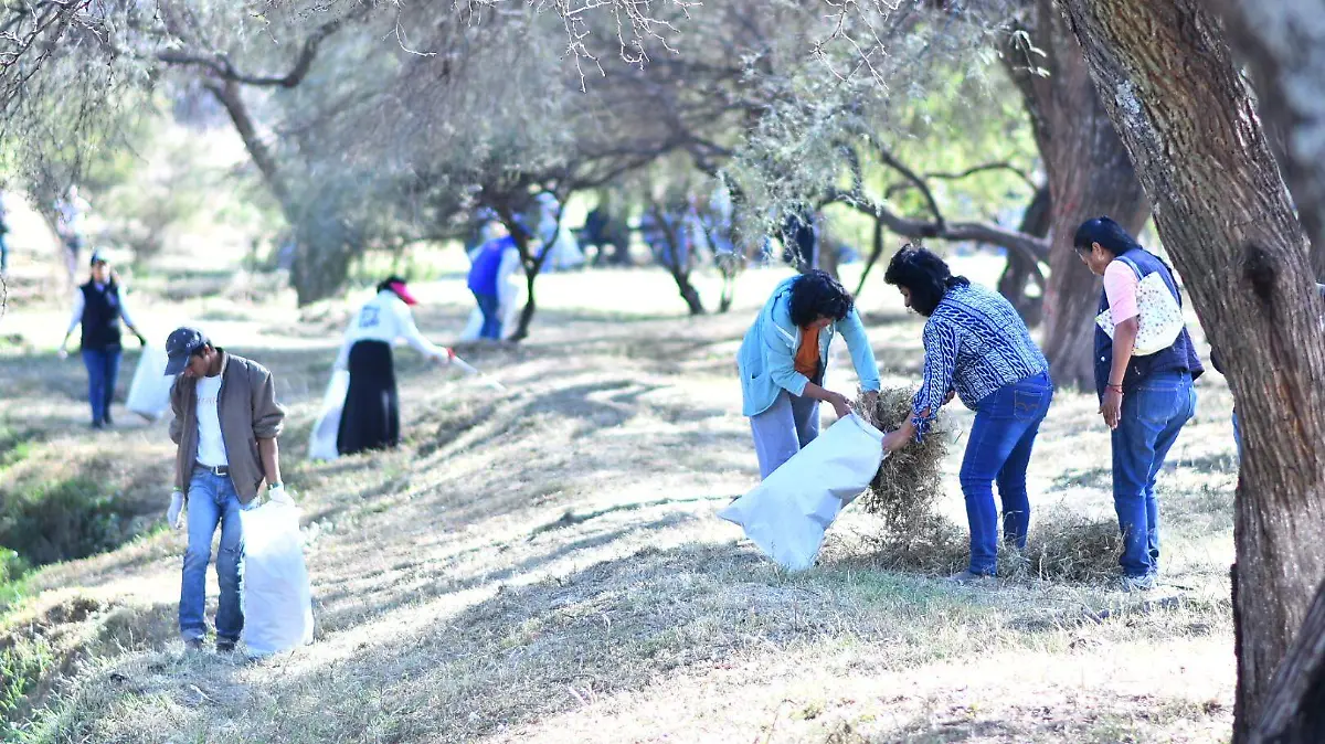 "Revive tu Arroyo”