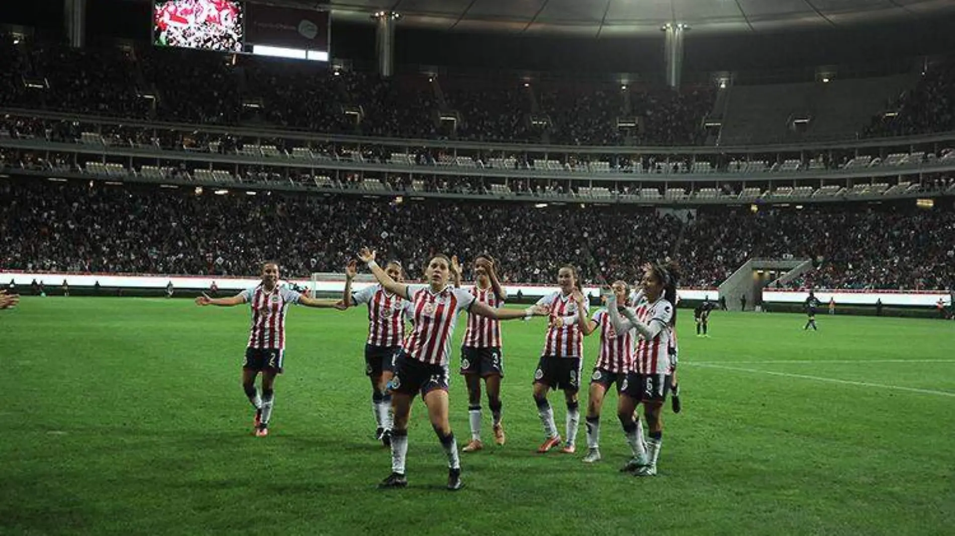 chivas