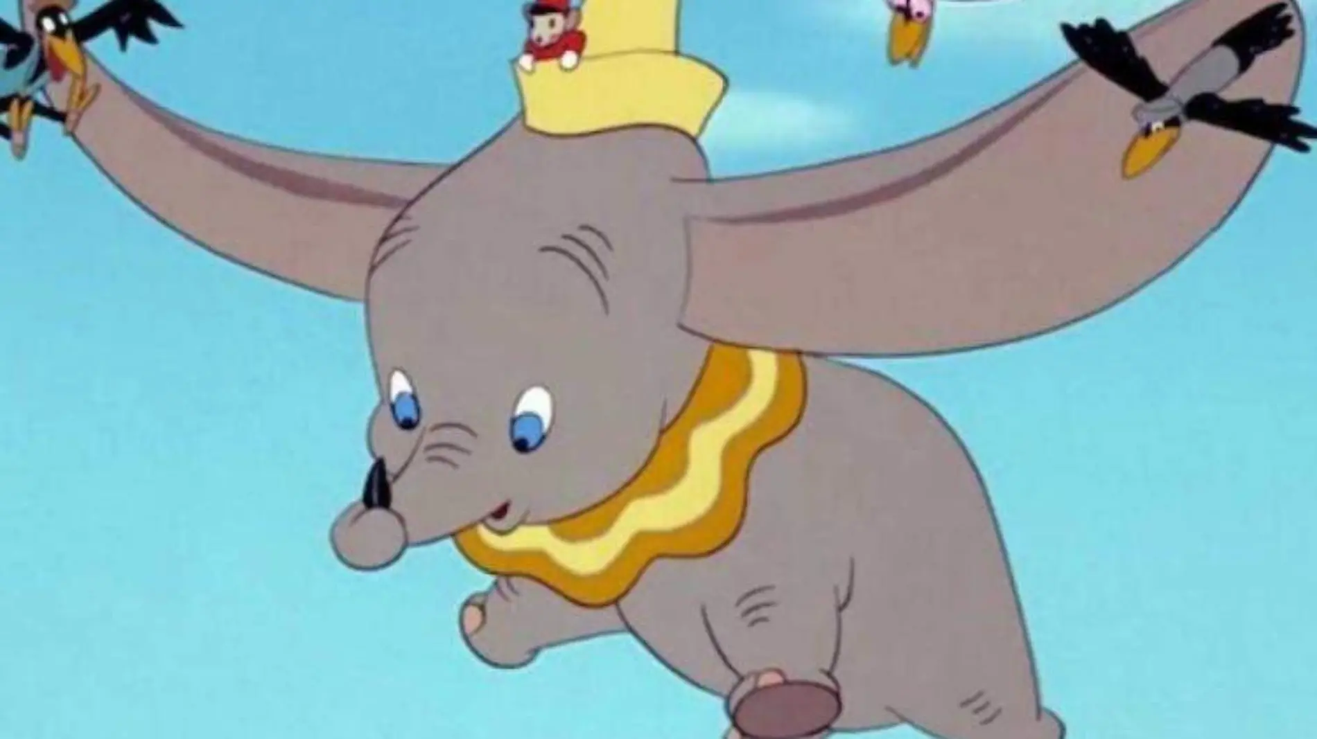 dumbo