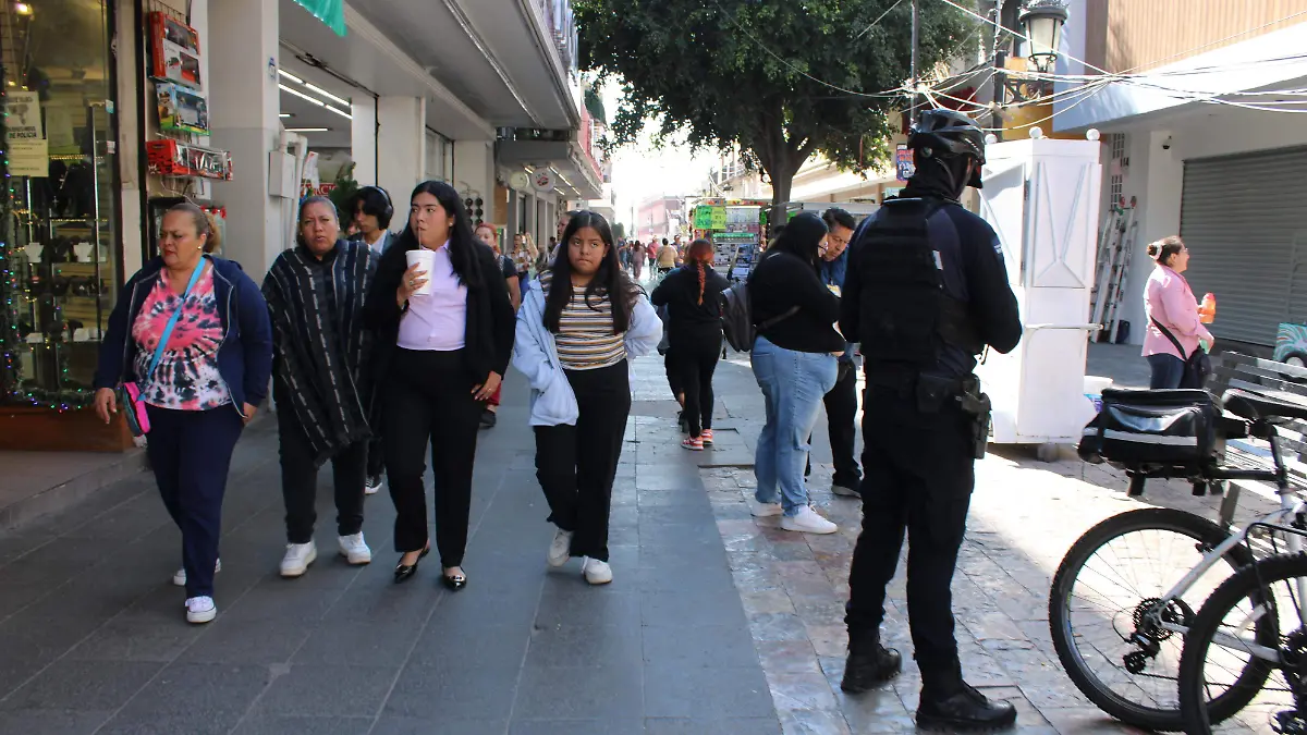 ANDADOR JUAREZ