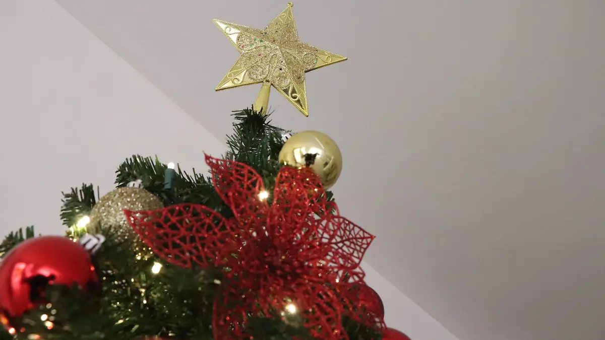 ÁRBOL DE NAVIDAD_DECORACIONES_NAVIDEÑAS