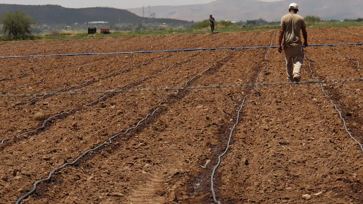 CABAÑUELAS-GANADO-AGRICULTURA