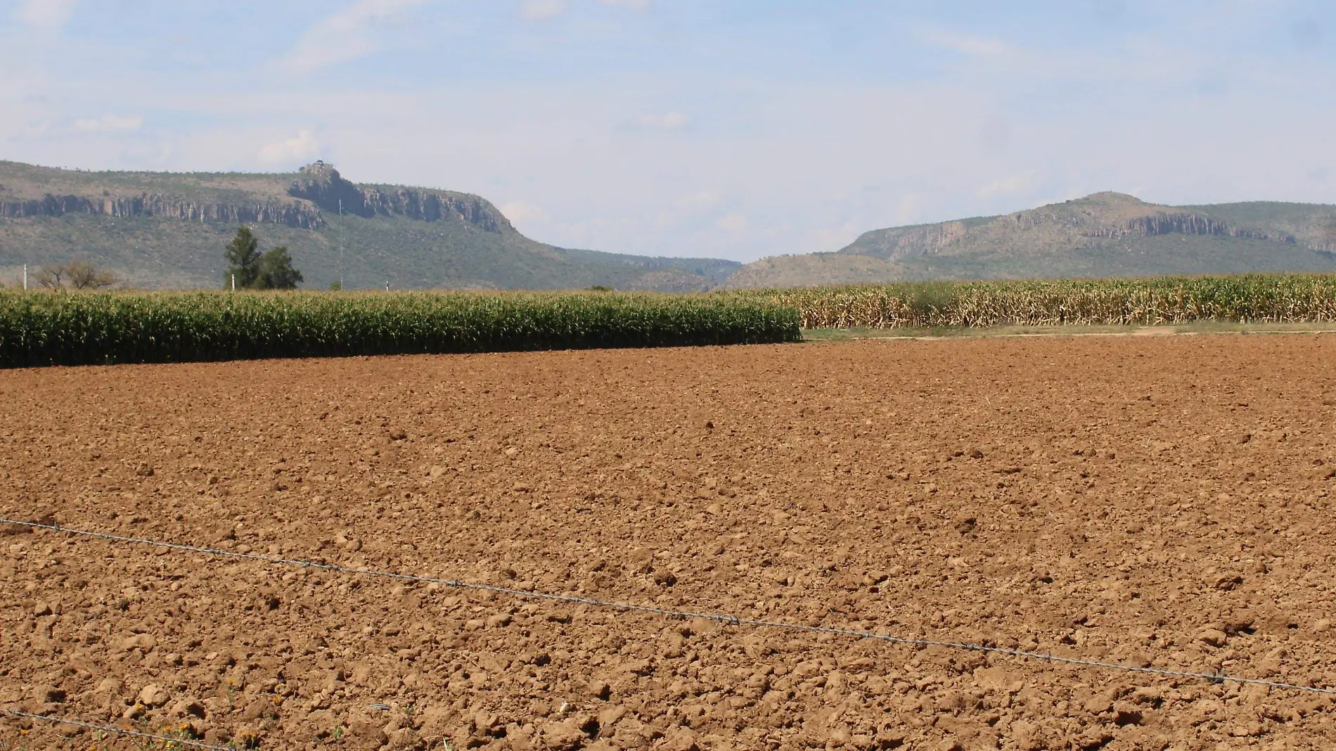 PARCELAS-AGRICULTORES-RENTA